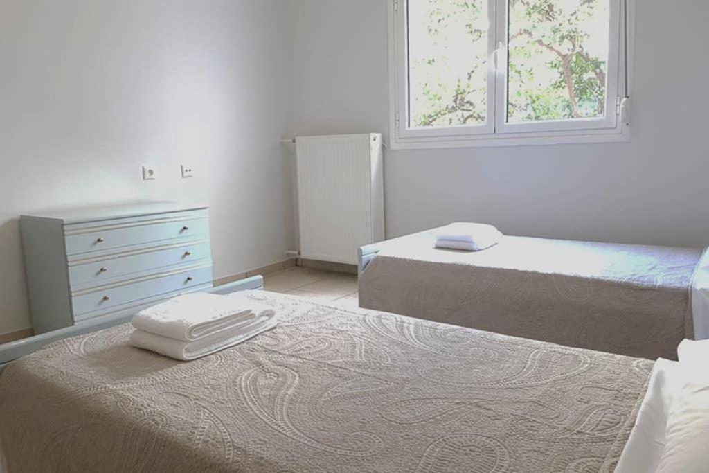 A Great Stay At A Comfortable Large Apartment Athens Exterior photo